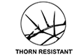 Thorn Resistant