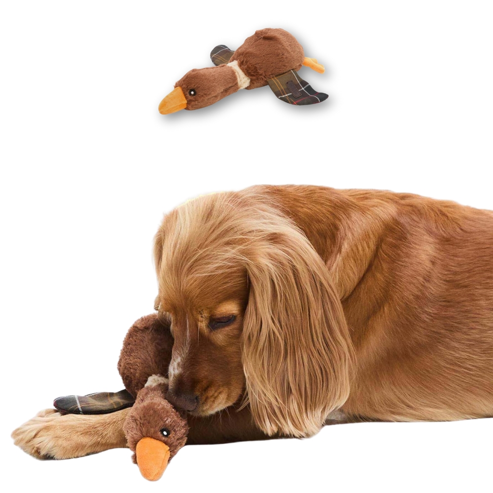 Jouet pour Chien Canard brun - Barbour