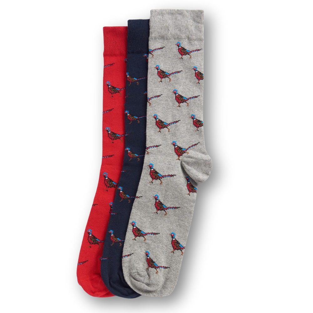 Chaussettes Faisans (Box de 3 paires) - Barbour