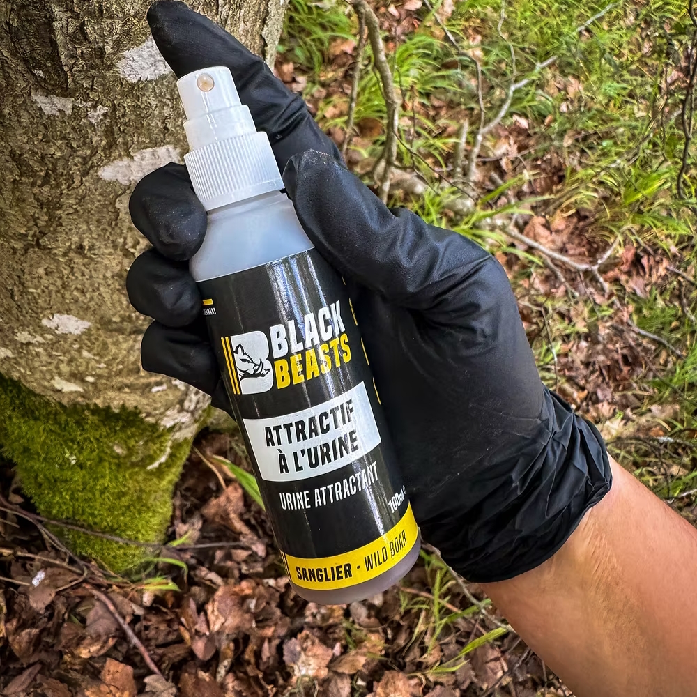 Urine de laie en chaleur / Attractant Sanglier Efficace - Black Beasts