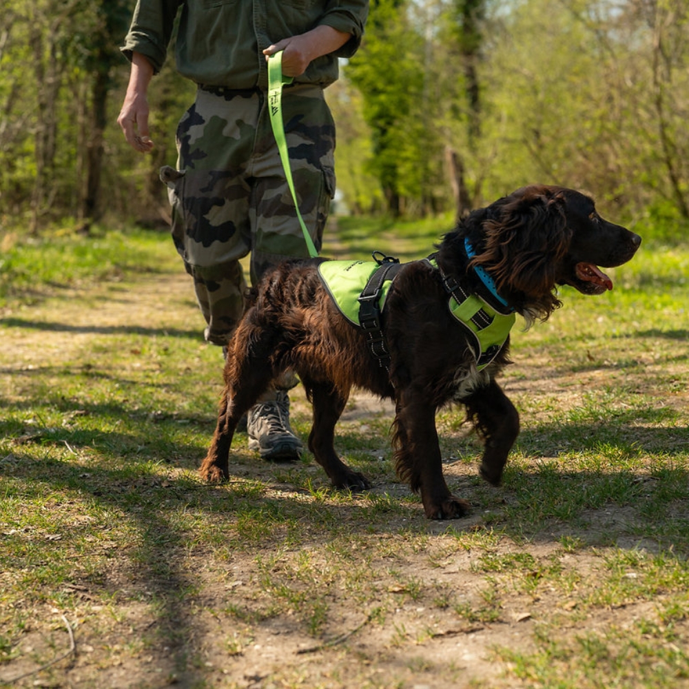 Harnais Chien X-COLOR Wild Tracker - Anti-Traction & Confort