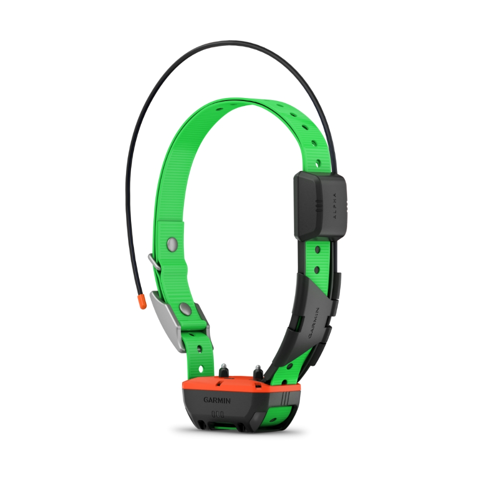 Pack Chasse GPS Garmin Alpha 300F / TT25F : Repérage et Dressage