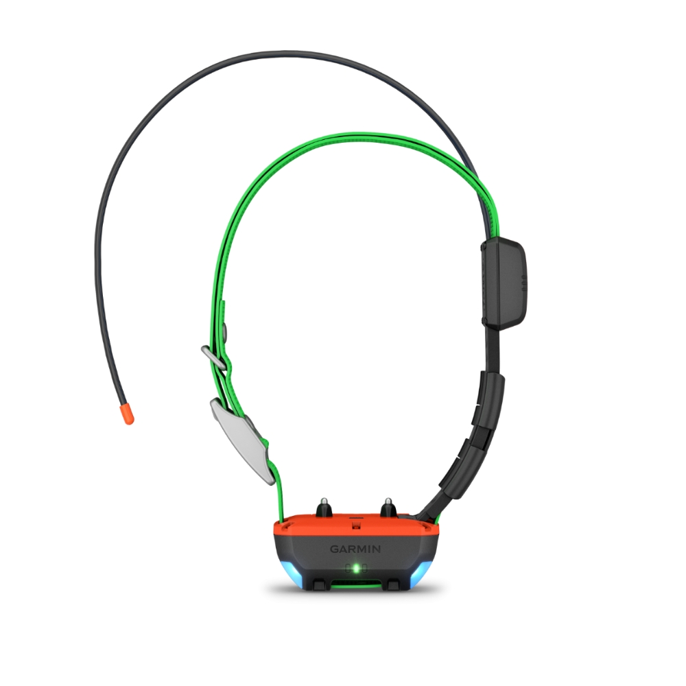 Pack Chasse GPS Garmin Alpha 300F / TT25F : Repérage et Dressage
