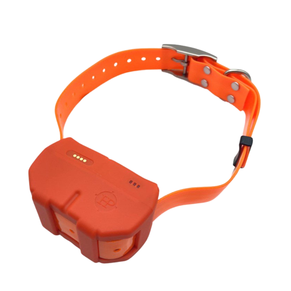 Collier GPS Chasse 4G DOGZE : Rep�rage et Dressage Illimit� - HuntPower