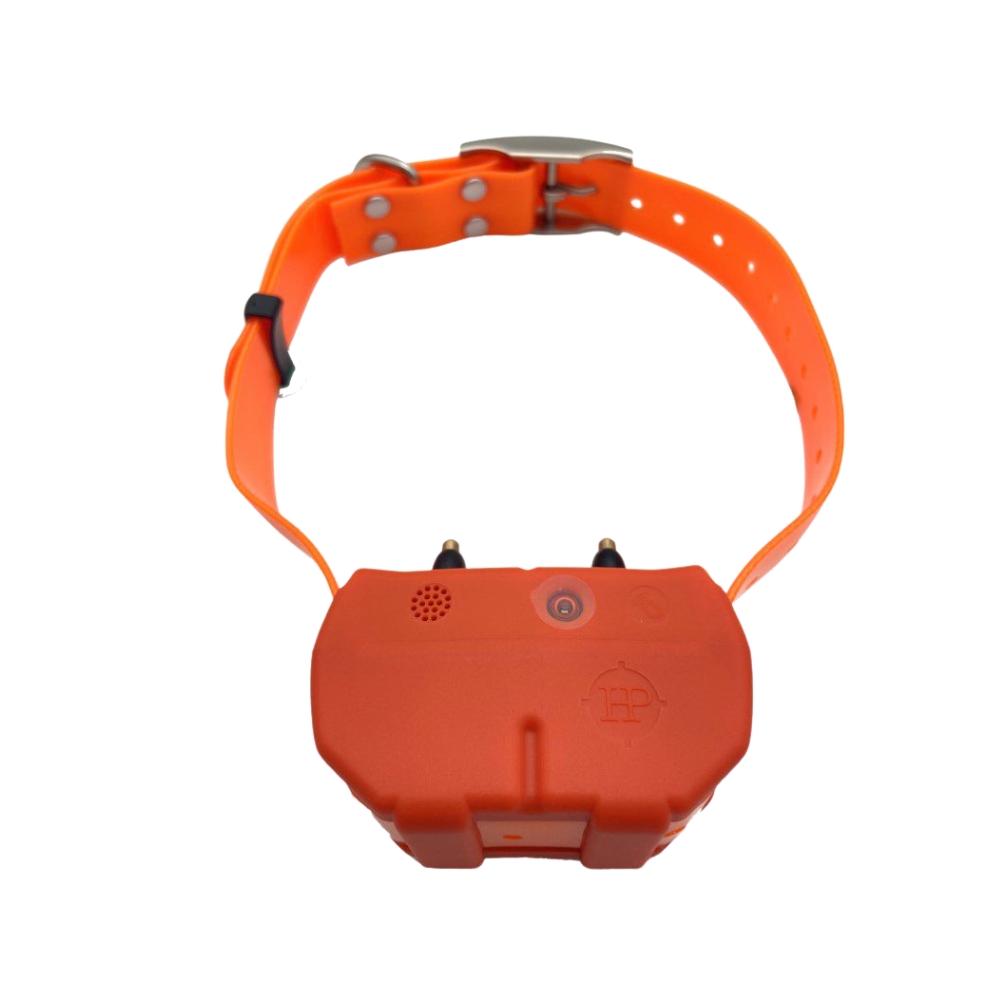 Collier GPS Chasse 4G DOGZE : Repérage et Dressage Illimité - HuntPower