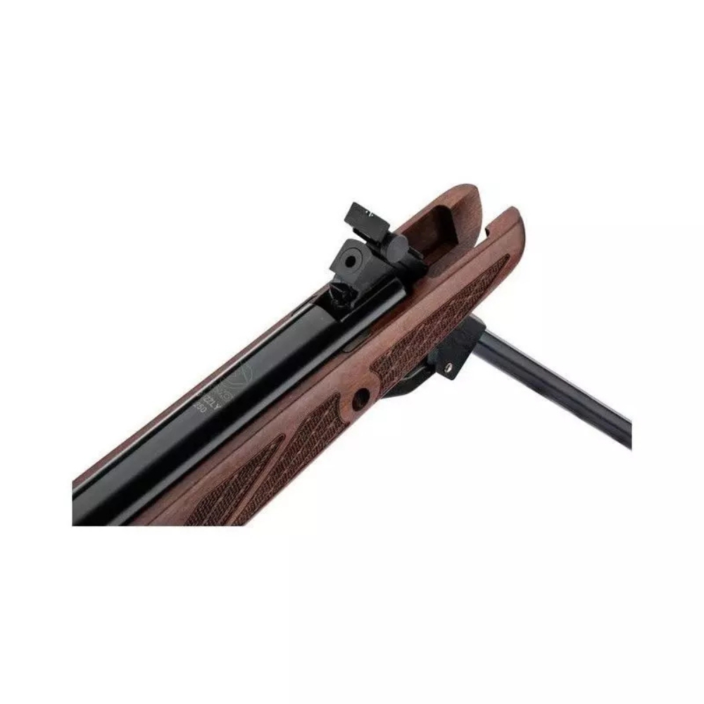Gamo Hunter 1250 Grizzly Pro 36J - Carabine Plomb Bois 4.5