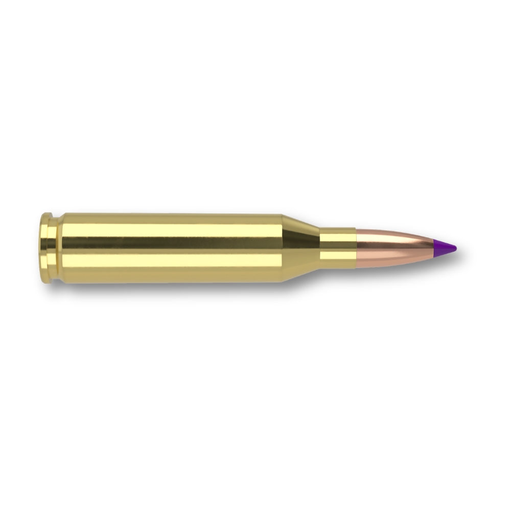 Munitions Nosler .243 Win Ballistic Tip 90gr (5,8g)  - Boite de 20