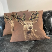 Coussin tte de cerf N2