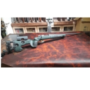 Weatherby Vanguard TGN 308