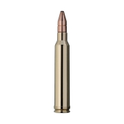 RWS 300 Win Mag DK 10.7G 165gr