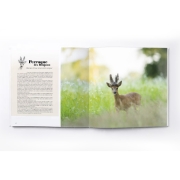 Livre : Brocards  en perdre la tte