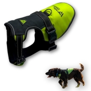 Harnais Chien X-COLOR Wild Tracker - Anti-Traction & Confort