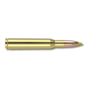 Munitions Nosler .270 Win Ballistic Tip 140 Gr 9,1g - Boite de 20